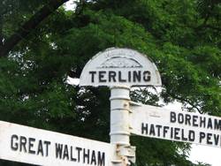 Terling